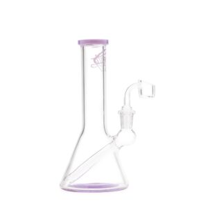 Envy Glass Banger Hanger Dab Rig – Purple