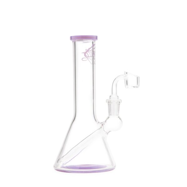 Envy Glass Banger Hanger Dab Rig – Purple