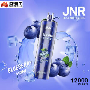 JNR SHISHA HOOKAH – BLUEBERRY MINT – 12000 PUFFS